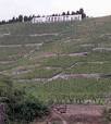 The wines of Paul Jaboulet Aine, Rhone, France