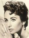 Elizabeth Taylor Picture 4
