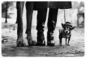 Elliot Erwitt