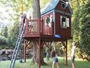 Tree House Ideas for You and Your Children - Ag Report 365