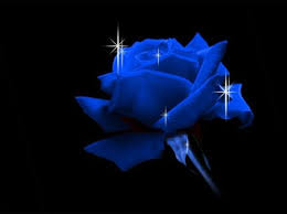 images?qtbnANd9GcR9Bbo5OZELNqrCpQGTyJAaGKjDysaMD VsgdRrf5Xl2vxDJYj 