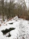 During the Second World War the common was requisitioned for military - via Daymix