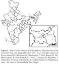 Genetics and Molecular Biology - Genetic variation among species ... 