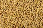 Fenugreek Seeds at Soniya's Kitchen: the premier vegetarian north ...
