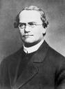 The Mermaid's Tale: What do we know about Gregor Mendel and his work?