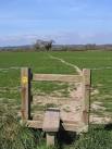 On paper the Sandstone Trail goes straight across this field to the next - via Daymix