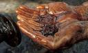  Oil find 'enough for Uganda' | Katine | guardian.