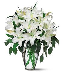 the flowers photo 1