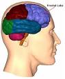 Cognitive Changes with ALS [Frontotemporal Dementia] - The ALS ...