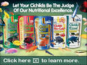 Buy Neotropical and South American Cichlids for Sale at ...