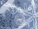 Topics in Precipitation Type Fcst: Model Algorithms