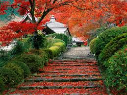 Photos from Japan 2006 – Part 2