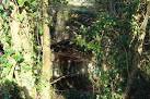 to Kingsbridge line, which was a victim of Dr Beeching's infamous axe. - via Daymix