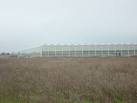 Thanet Earth on Planet Thanet - via Daymix