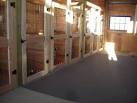 Dog Kennels