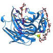 Alpha Amylase, Glucoamylase Enzymes By Aumgene Biosciences Pvt Ltd ...