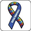 Autism Awareness Car