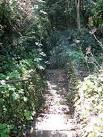 Kett's Heights - flight of steps to Gas Hill - via Daymix