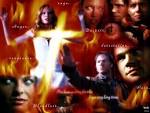 Top Asha Winchester News