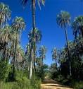 El Palmar National Park