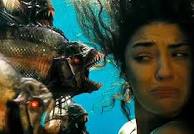 images?q=tbn:ANd9GcRDsXiqvdmYtwH6u3hglhosiiTOXJJSfGyK36V501r8ref0zao4k_fCFJ_n7Q