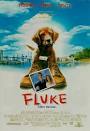 File:Fluke.jpg - Wikipedia, the free encyclopedia