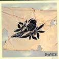 Looney Tunes CD Store - Bayside : Walking Wounded