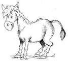 Donkey coloring page