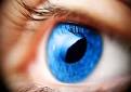 eyeball - Images