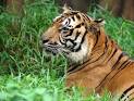 zoo