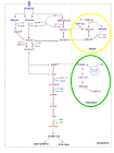 A Brief Review of <b>Carbohydrate</b>