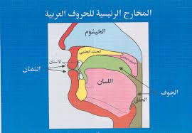 ثاني درس من ( هيا بنا نجود قراننا )  - صفحة 3 Images?q=tbn:ANd9GcREcEPJwns7HRm0kruS3hgSFeEFWPu-bVTIWPC0KNXt8bHv5Mny0A&t=1