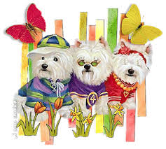 http://t2.gstatic.com/images?q=tbn:ANd9GcREnJdjqLWEirE1TPRFrjro7u5240-9wSIDDtTlAfDVoTOfkdz12A