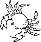 Crab coloring page