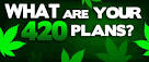 What Are Your Plans For 4/