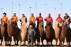 ARGENTINA POLO CUSTOMERS -- www.