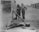 File:Buchenwald Leipzig-Thekla Corpse American Soldiers ...