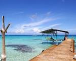 Summer | wallpaper, hd wallpaper, background desktop