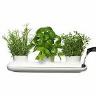 http://www.digsdigs.com/photos/trio-herb-pot.jpg