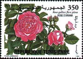 Stamp: The Ariana Rose (Tunisia) (Ordinary) Yt:TN 1307