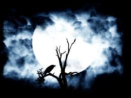 Moon Mist Night Bird Picture and Photo | Imagesize: 65 kilobyte - moon-mist-night-bird