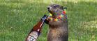 Beer for Breakfast on Groundhog Day at Grey Lodge Pub - Drink ...