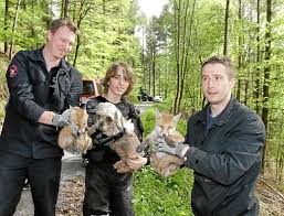 Ende gut, alles gut: Die Feuerwehrmänner Michael Draskowitsch (links) und Jasmin Hatidzic (rechts) mit Michael Frank, \u0026quot;Hexi\u0026quot; und den Füchsen.