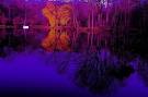 colorful lakes