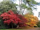 ST8489 : Westonbirt Arboretum - via Daymix