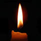 In Memoriam