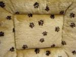 Doodlebug Duds Maximum Comfort Pet Bed Size by doodlebugduds