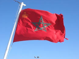 images?q=tbn:ANd9GcRGDOMBhY3kwszl9d1sztei5DAsludimgRJTpY2mjvpREc3NXCC