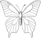 Butterfly Outline | ClipArt ETC