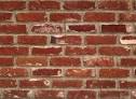 Brick Wall Busted | Nancy Morris